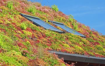 Winchburgh living roof systems