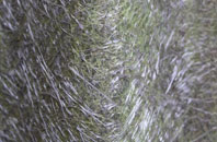 Winchburgh fibreglass roof work